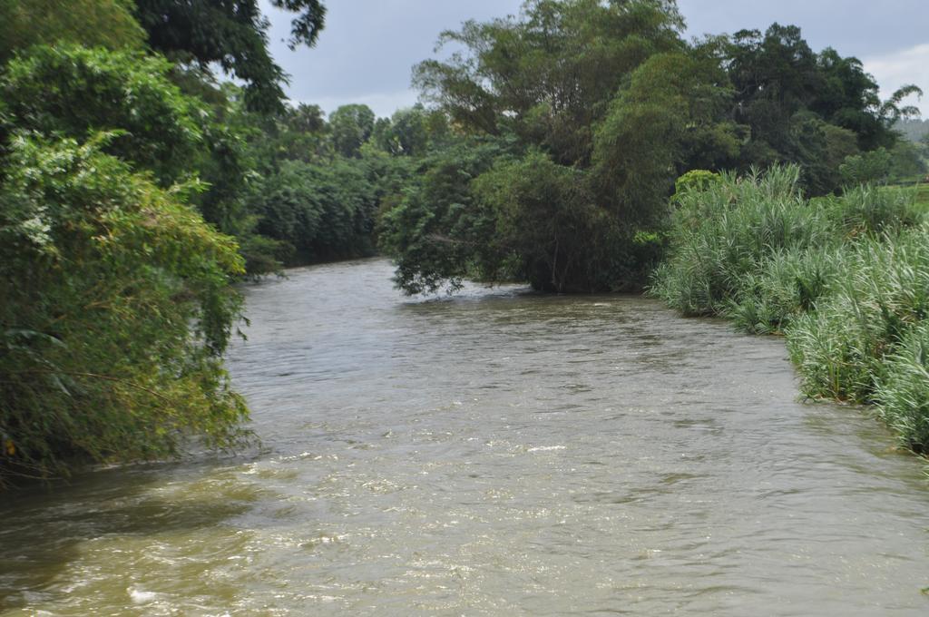River Edge Bungalow Matale Kültér fotó